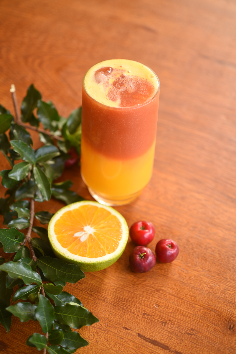 Restaurante Coqueiros Serra Do Cipo-4